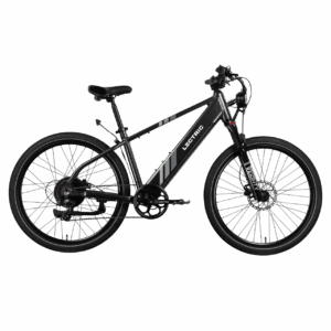 Lectric eBike Xpress 750